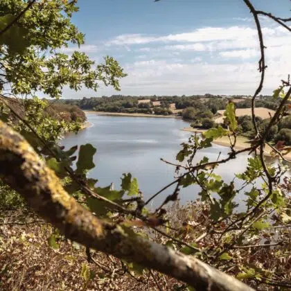 ado lac jaunay bann